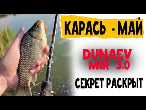 Видео: DUNAEV MIR 3.0 м.  \\ ЛЮТАЯ РАЗДАЧА КАРАСЯ в конце мая.  РАСКУСИЛ фидер  Dunaev MIR Vector 3.0