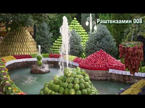 Видео: Суруди Дехкон Човидони Нозим бо ансабли Дарё Иди Мехргон Рашт 2021