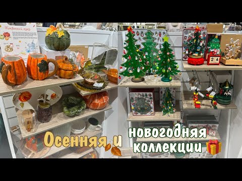 Видео: Обзор новинок✨| Sin, Kuchenland, Fix Price, Чижик