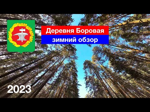 Видео: [4K] Деревня Боровая / Зимний обзор / Родник / Озеро / ул. Озёрная / Кузнецкий район (14.01.2023)