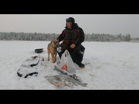 Видео: Рыбалка в Карелии с ночёвкой в декабре.