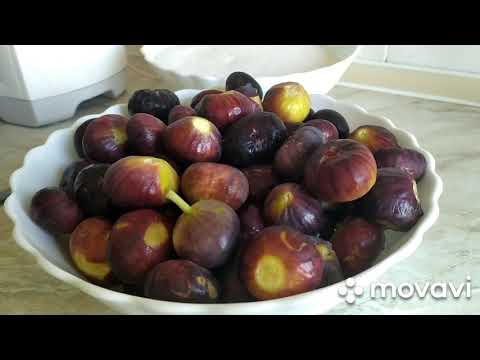 Видео: КАК ПРИГОТОВИТЬ ДЖЕМ ИЗ ИНЖИРА легко и просто/ԻՆՉՊԵՍ ՊԱՏՐԱՍՏԵԼ ԹԶԻ ՋԵՄ ՇԱՏ ԱՐԱԳ ԵՎ ՀԱՄԵՂ