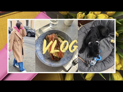 Видео: VLOG/НЕ УЛЕТЕЛИ/ЩЕНОК КАНЕ КОРСО/МОИ БУДНИ