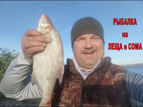 Видео: РЫБАЛКА на СОМА и ЛЕЩА. Старобешевское вдх. - отличный водоем для легкой рыбалки!