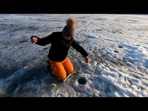 Видео: Рыбалка в Караганде!Как  жена меня обловила,смотреть до конца,закрытие зимнего сезона 2019,29 канал