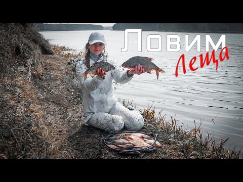 Видео: ЛЕЩ и ГУСТЕРА ранней ВЕСНОЙ на фидер!