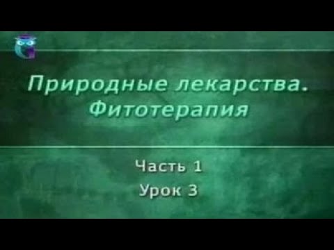 Видео: Фитотерапия. Урок 1.3. Адаптогены. Часть 2