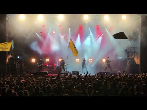 Видео: Улетай 2020 Тараканы