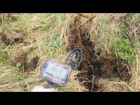 Видео: Копаю в Болоте и Очень Этому Рад
