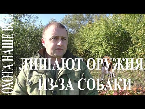 Видео: Внимание! Охотника лишают права охоты с конфискацией оружия из-за собаки.