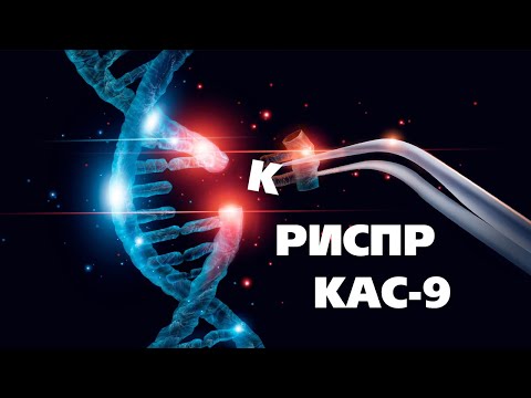 Видео: 🧬 Генетикийн салбарын хамгийн том нээлт - КРИСПР гэж юу вэ?