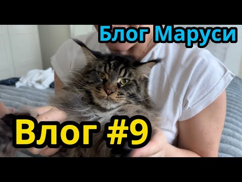 Видео: ДНЕВНОЙ МАКИЯЖ | КРУТАЯ ПТИЧКА | БЛОГ МАРУСИ
