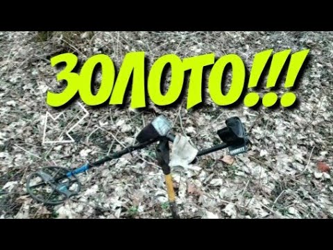 Видео: Золото Пруссии!!! От такой находки аж руки за дрожали!!! Коп в Калининграде!!!