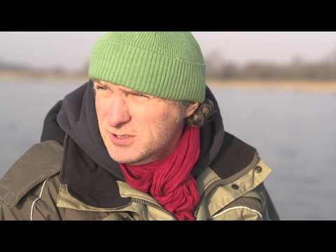 Видео: Ловля щуки троллингом