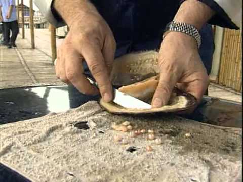 Видео: В поисках приключений - Китай 2