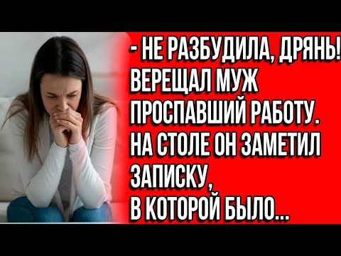 Видео: Не разбудила, дрянь!   Верещал муж проспавший работу   Но как потом оказалось