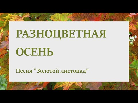 Видео: Золотой листопад Песня Разноцветная осень  к нам в окошко стучится вокал