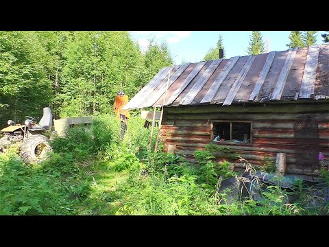 Видео: От таких Хариусов ДУХ захватывает! Рыбалка на мизерной речке в тайге. Живём в избушке моего деда.