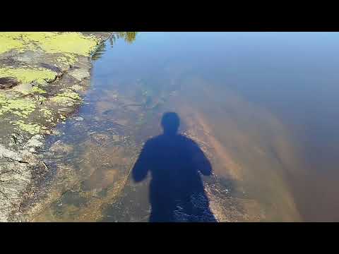 Видео: Озеро в Норвегии;)#nature #озеро #vannsjo #отдых #travel 