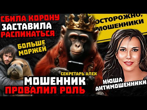 Видео: Мошенники клоуны и "неадекватная" женщина /Нюша /Антимошенники