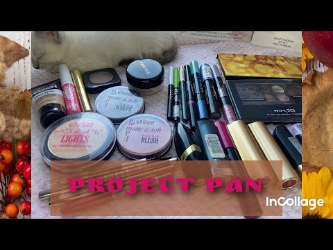 Видео: Звіт Project pan | декоративна косметика 💄 