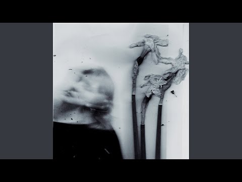 Видео: дюшеска