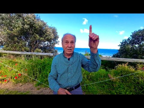 Видео: Жената ми постави ултиматум: или Бракот или Музиката!