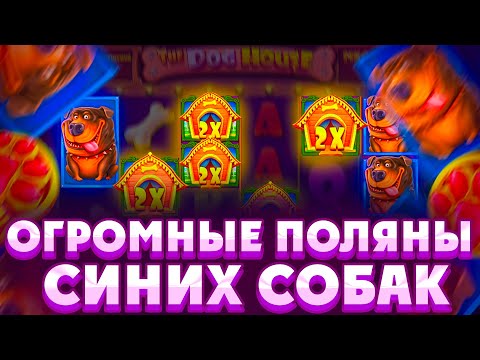 Видео: ЛЮТЫЙ КАМБЭК В THE DOG HOUSE MEGAWAYS!!НЕВЕРОЯТНЫЕ СЫГРОВКИ В СПИНАХ!!