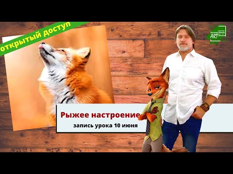 Видео: Оранжевое настроение