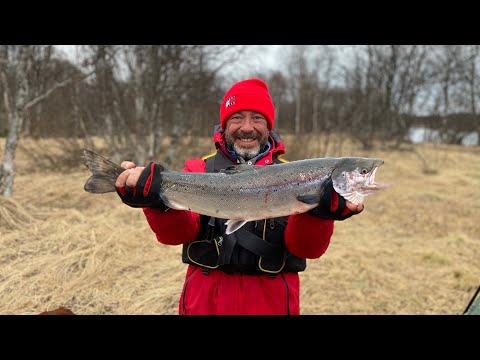 Видео: 1 июня 2025 г.