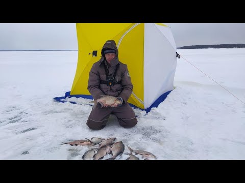 Видео: ЗАКРЫТИЕ СЕЗОНА ЗИМНЕЙ РЫБАЛКИ🎣 НА ЛЕЩА 2022|ЯУЗСКОЕ ВОДОХРАНИЛИЩЕ-ПУДЫШИ|