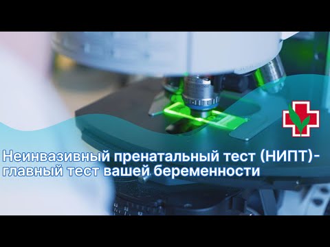 Видео: Неинвазивный пренатальный тест (НИПТ)- главный тест вашей беременности