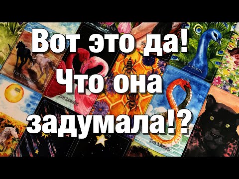 Видео: 💯%♨️ВАШИ ОТНОШЕНИЯ НА ПАУЗЕ!⚡️ПЕРЕЖИВАЕТ ЛИ ОНА?😱ХОЧЕТ ЛИ ВСТРЕЧИ, ПРИМИРЕНИЯ?💫МЫСЛИ,ДЕЙСТВИЯ