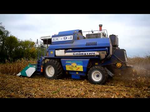 Видео: Жнива Кукурудзи "АР18101к" від "Агроритм"