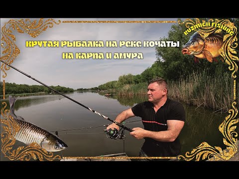 Видео: Крутая рыбалка на реке Кочеты на карпа и амура