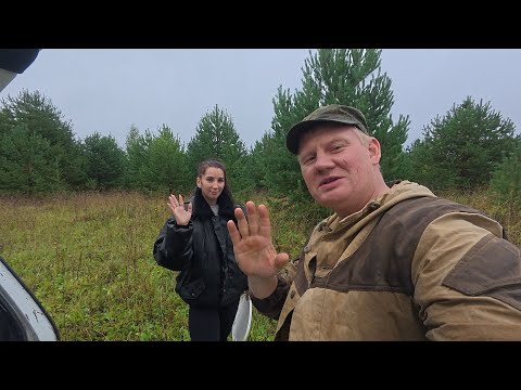 Видео: По рыжики в лес с Настенькой