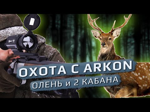Видео: Удачная охота с Arkon: олень и два кабанчика!