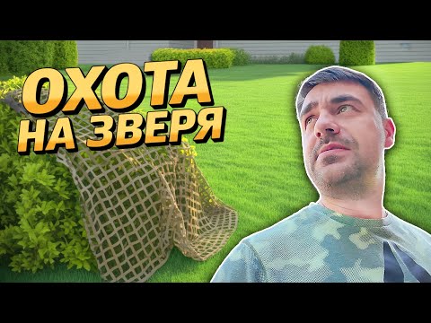 Видео: Охота на зверя