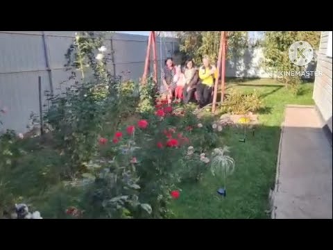 Видео: 2930. МЫ в СОЧИ! 🪴Дочь В гостях!🌺 Внук НА празднике! 🌸Жизнь РАЗНАЯ! ♥️