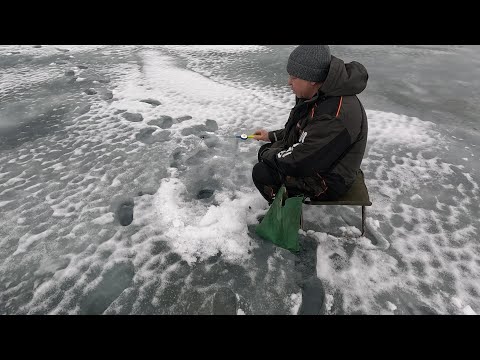 Видео: Аргази рыбалка на жерлицы в марте.