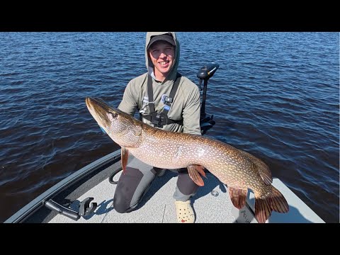 Видео: Рыбалка в ХМАО. Попали на РАЗДАЧУ. Злая щука.