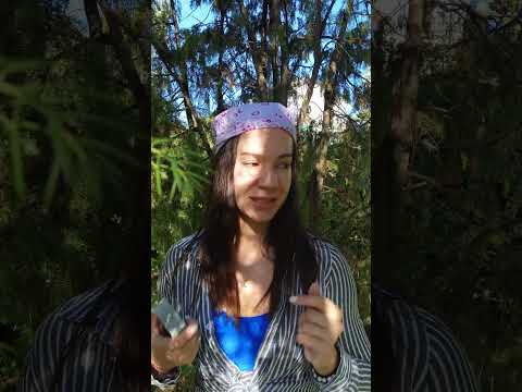 Видео: Как влияют наши мысли на нашу судьбу, почему так важен порядок в голове 💭🌞