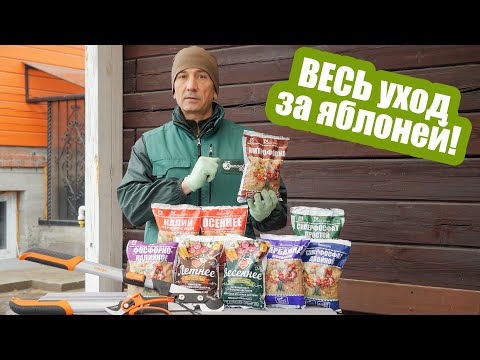 Видео: Как ухаживать за яблоней с весны до осени: пошаговая инструкция!