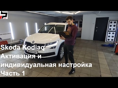 Видео: 4K Skoda Kodiaq Активация и индивидуальная настройка автомобиля Часть 1