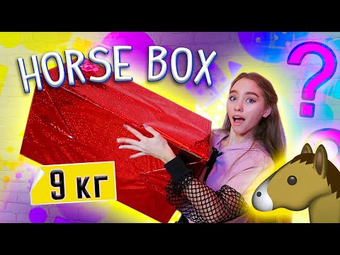 Видео: БОЛЬШАЯ распаковка Horse BOX !