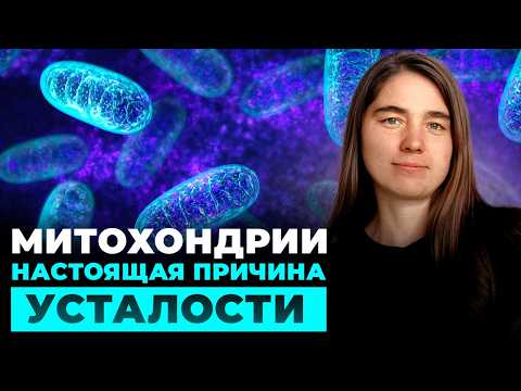 Видео: Что скрывают митохондрии? Как сохранить здоровье и молодость ЕСТЕСТВЕННЫМ способом?
