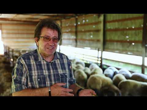 Видео: "Козоводство секреты преуспевающего фермерского хозяйства" Репортаж НТС