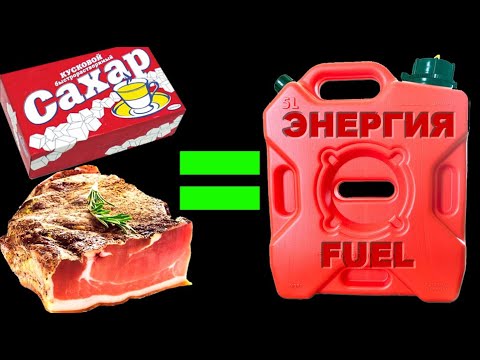 Видео: 🟢 Энергия из БЖУ. АТФ: эффективность Глюкозы. Суть Ожирения.