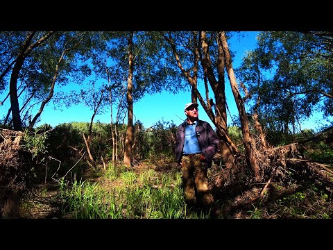 Видео: Забрался в дебри и поймал рыбки. Рыбалка с ночевкой