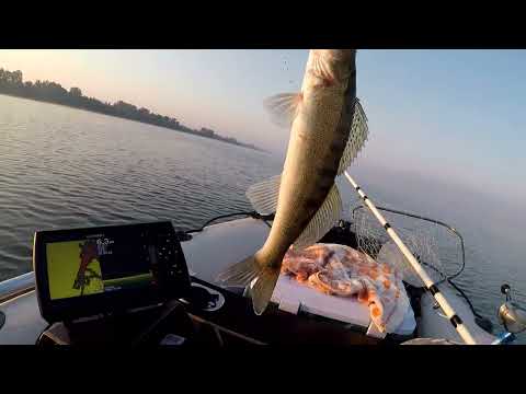 Видео: Белое озеро 27.08.22.